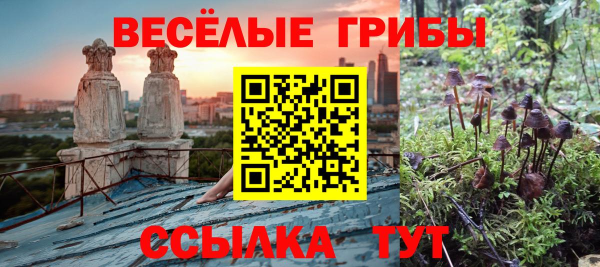 Псилоцибиновые грибы прущие грибы Магнитогорск